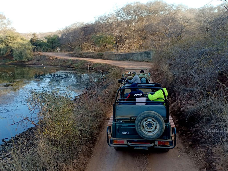 7 Days Golden Triangle Tour with Ranthambore Tiger Safari